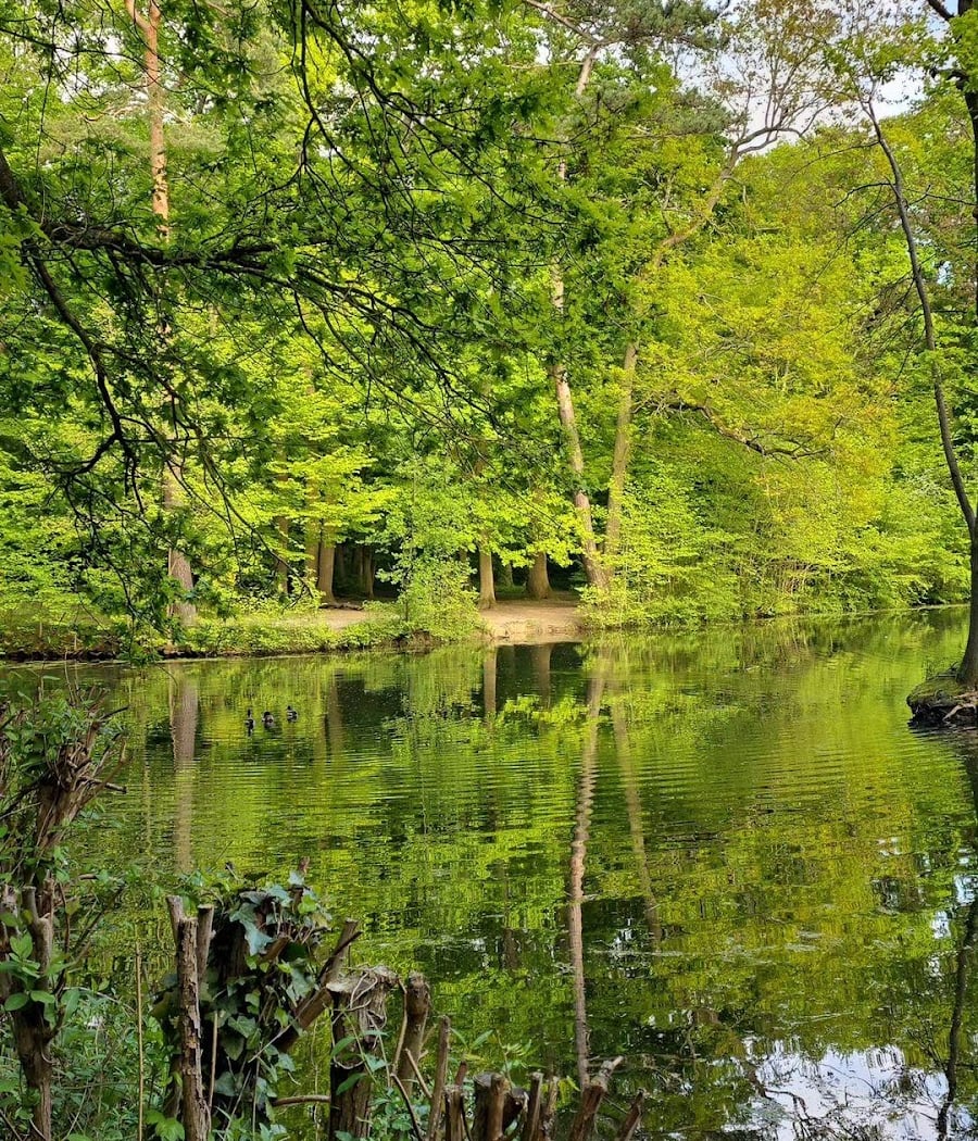 Plan du Parc de Sevran - Entrée Vert-Galant 1